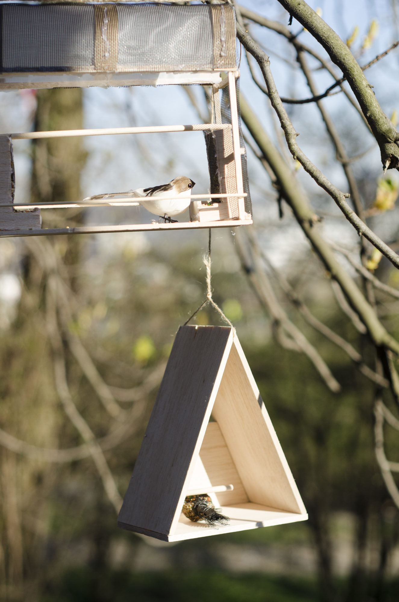 Designing bird houses